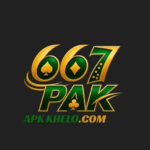 PKR667 Game download APK and gaming platform in Pakistan